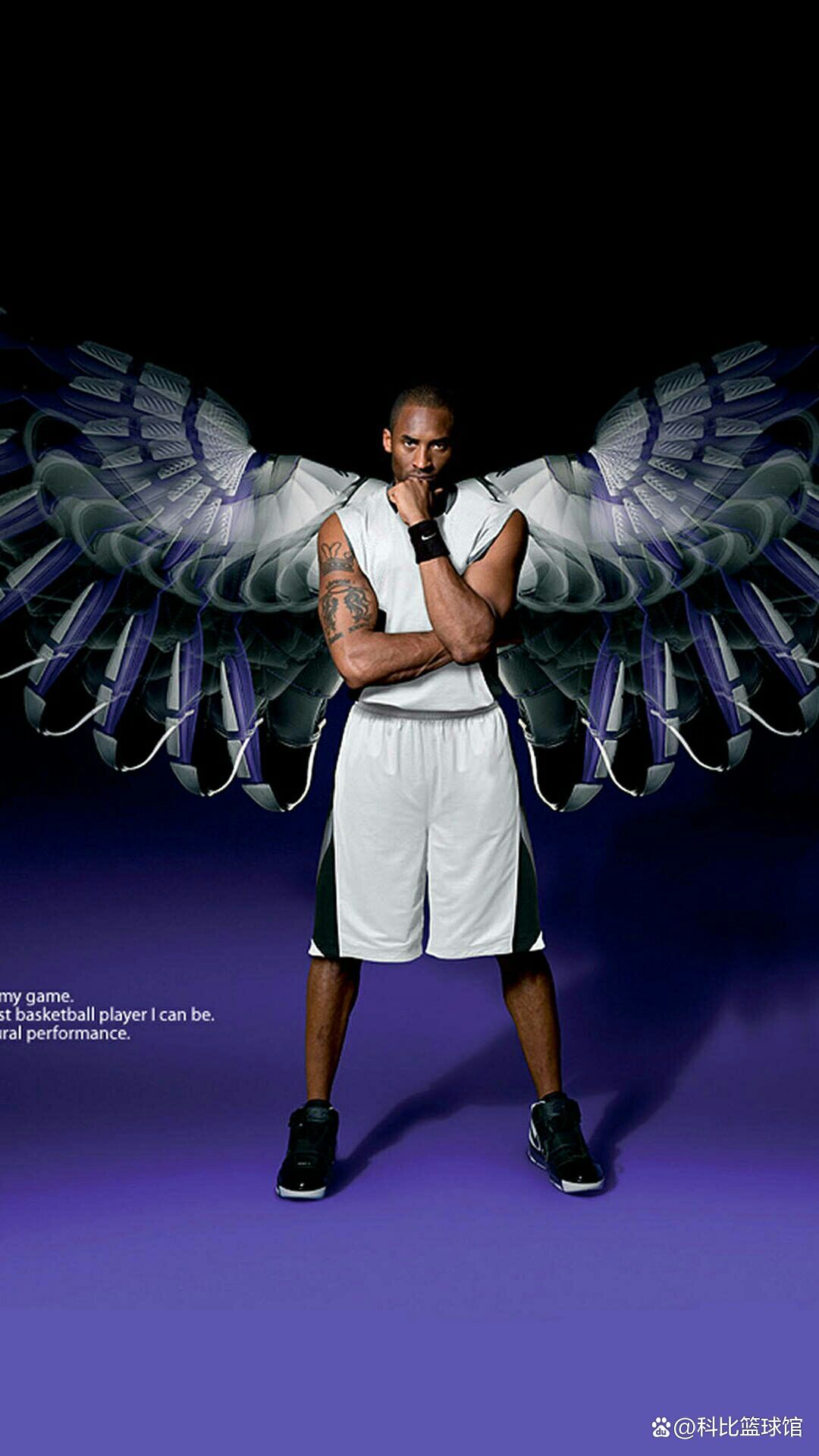 鉴欧洲先进 鉴欧洲先进